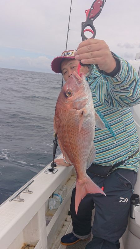 ARCADIAⅡ （アルカディアⅡ） 釣果