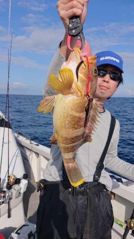 ARCADIAⅡ （アルカディアⅡ） 釣果