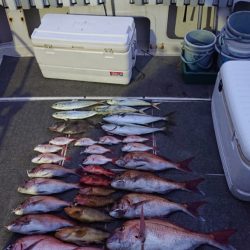 ARCADIAⅡ （アルカディアⅡ） 釣果