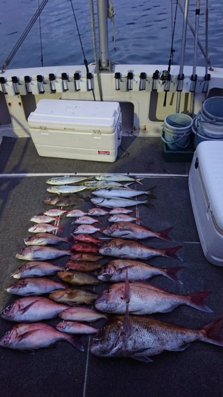 ARCADIAⅡ （アルカディアⅡ） 釣果…