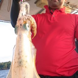 シースナイパー海龍 釣果