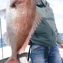 だて丸 釣果