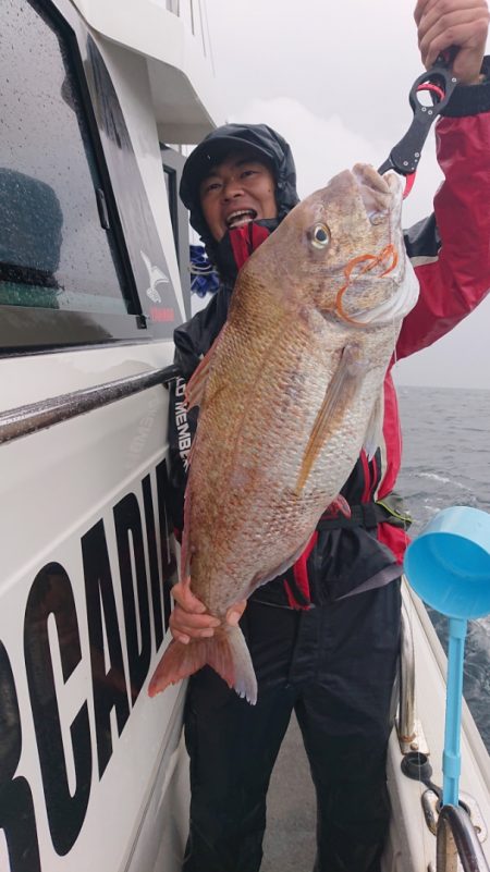 ARCADIAⅡ (アルカディアⅡ) 釣果