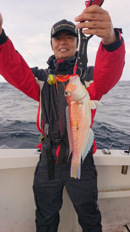 ARCADIAⅡ (アルカディアⅡ) 釣果