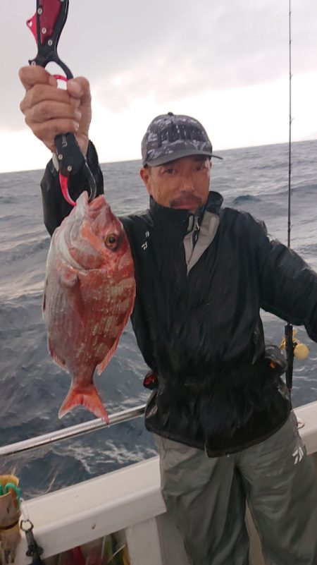 ARCADIAⅡ (アルカディアⅡ) 釣果