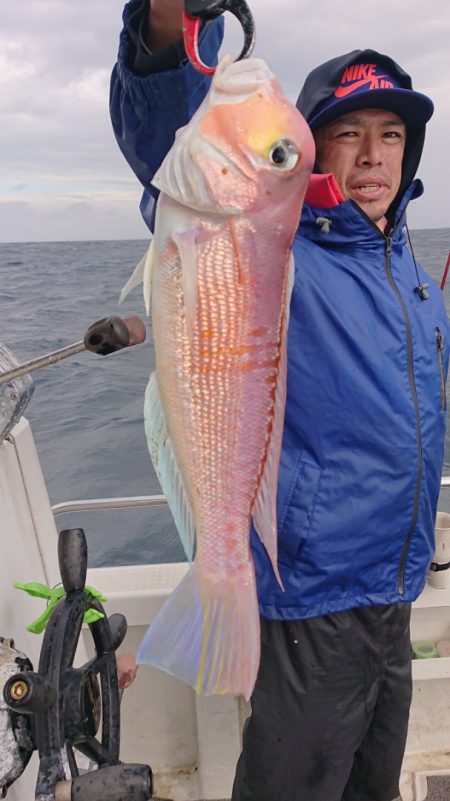 ARCADIAⅡ (アルカディアⅡ) 釣果