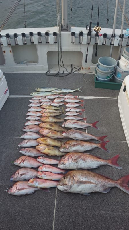 ARCADIAⅡ (アルカディアⅡ) 釣果