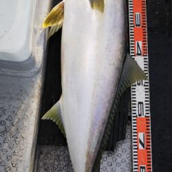 第二龍勢丸 釣果