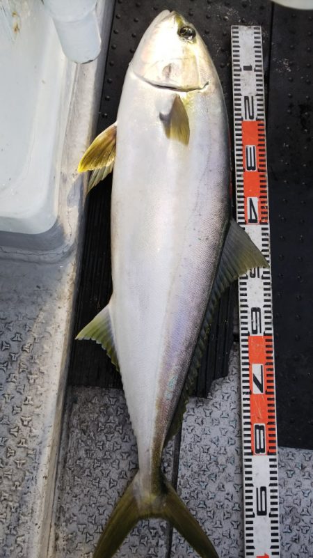 第二龍勢丸 釣果