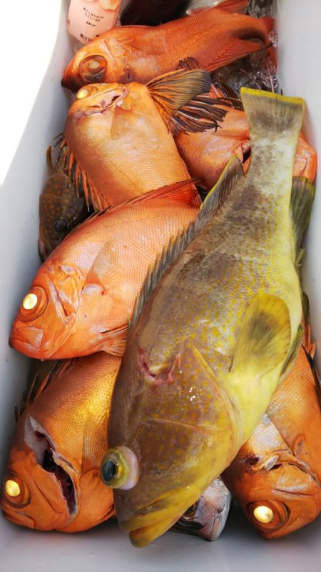 第二龍勢丸 釣果