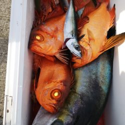 第二龍勢丸 釣果