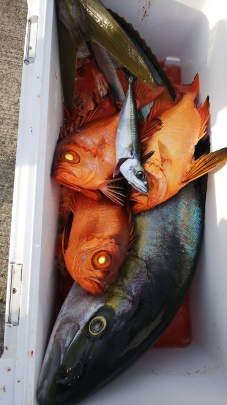 第二龍勢丸 釣果