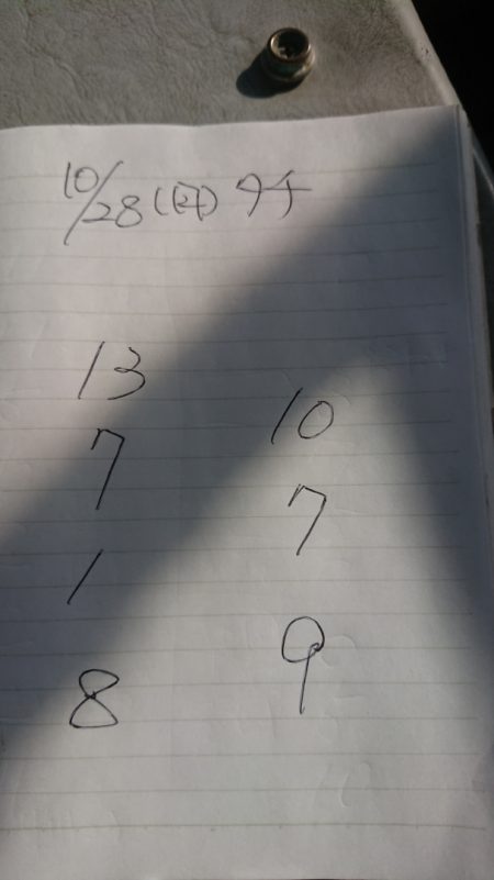 金沢八景鴨下丸 釣果