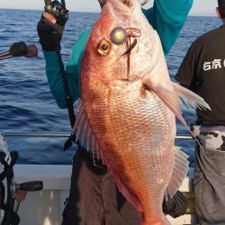 ARCADIAⅡ (アルカディアⅡ) 釣果