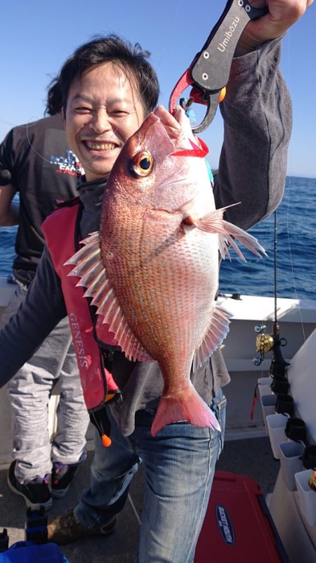 ARCADIAⅡ (アルカディアⅡ) 釣果