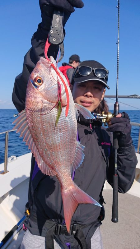 ARCADIAⅡ (アルカディアⅡ) 釣果