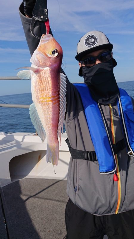 ARCADIAⅡ (アルカディアⅡ) 釣果