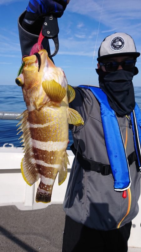 ARCADIAⅡ (アルカディアⅡ) 釣果