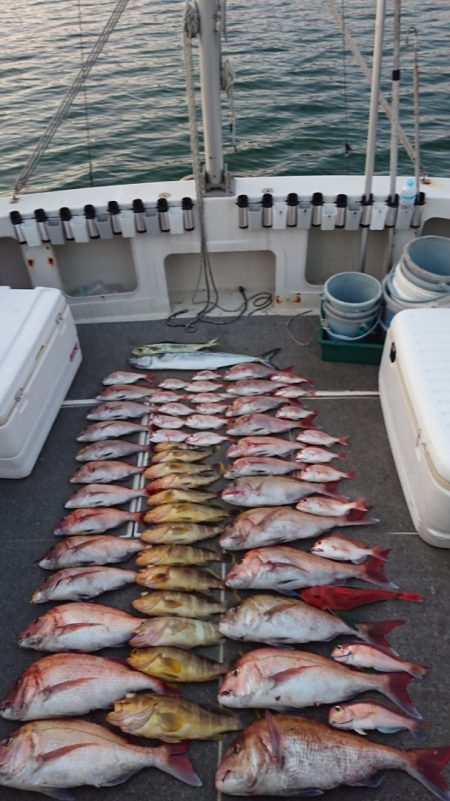 ARCADIAⅡ (アルカディアⅡ) 釣果