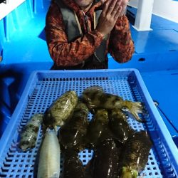 第三共栄丸 釣果