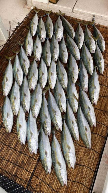 釣人家 釣果