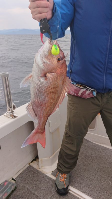 ARCADIAⅡ (アルカディアⅡ) 釣果