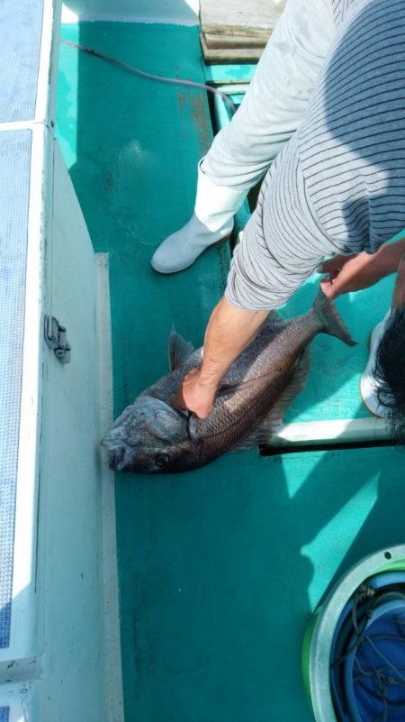 富士丸 釣果