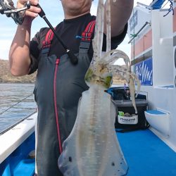 第三共栄丸 釣果