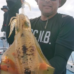 シースナイパー海龍 釣果