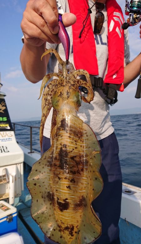 シースナイパー海龍 釣果