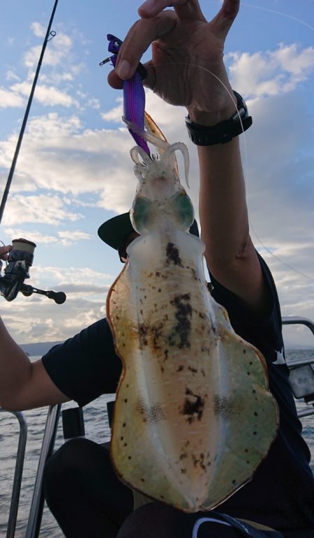 シースナイパー海龍 釣果
