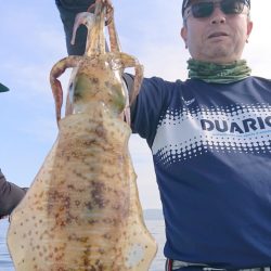 シースナイパー海龍 釣果