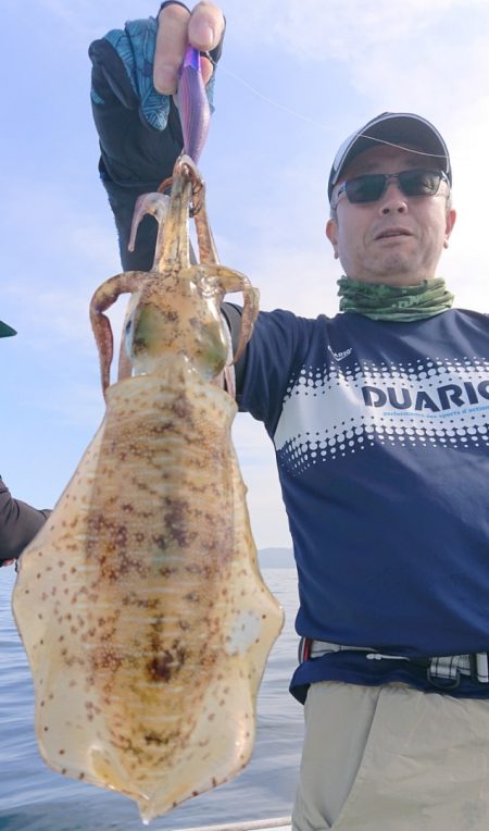 シースナイパー海龍 釣果