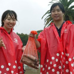 としまえんフィッシングエリア 釣果