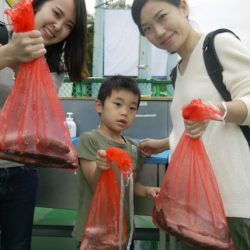 としまえんフィッシングエリア 釣果