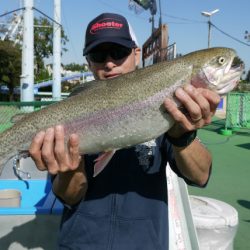 としまえんフィッシングエリア 釣果