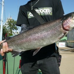 としまえんフィッシングエリア 釣果