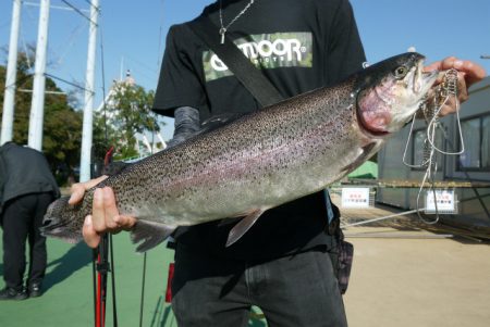 としまえんフィッシングエリア 釣果