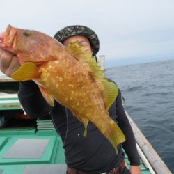 真祐丸 (しんゆうまる) 釣果