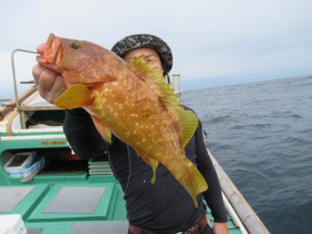 真祐丸 (しんゆうまる) 釣果