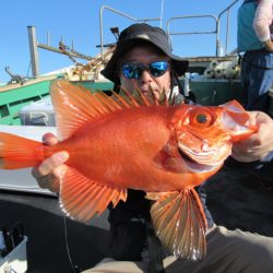 真祐丸 (しんゆうまる) 釣果