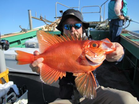 真祐丸 (しんゆうまる) 釣果