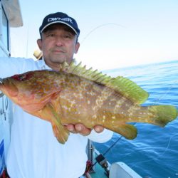 真祐丸 (しんゆうまる) 釣果