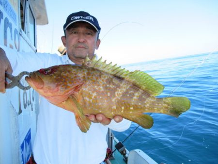 真祐丸 (しんゆうまる) 釣果