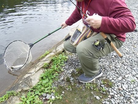 平谷湖フィッシングスポット 釣果