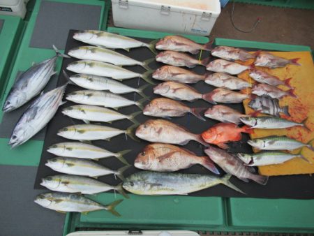 真祐丸 (しんゆうまる) 釣果