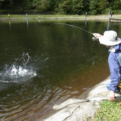 平谷湖フィッシングスポット 釣果