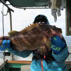 真祐丸 (しんゆうまる) 釣果