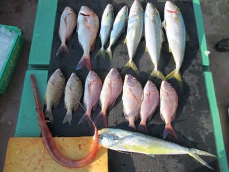 真祐丸 （しんゆうまる） 釣果