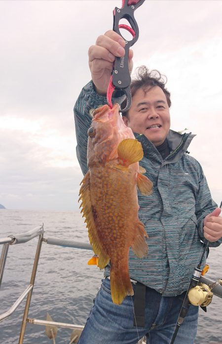 ARCADIAⅡ (アルカディアⅡ) 釣果